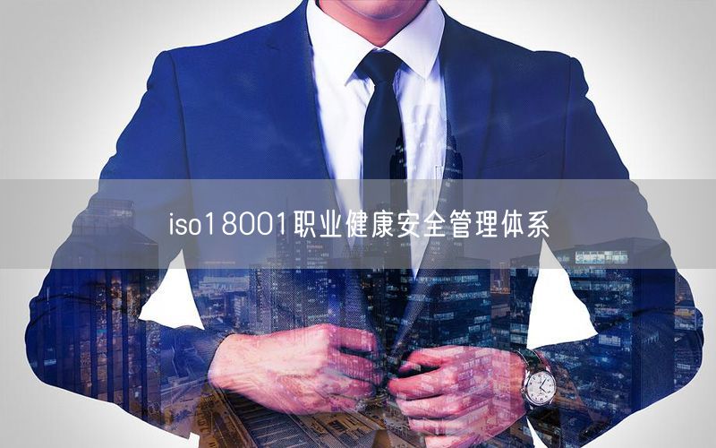 iso18001職業健康安全管理體系(30)